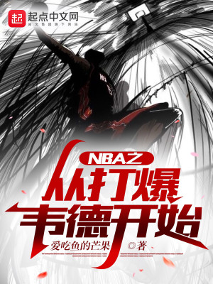 Bìa truyện Nba Chi Tòng Đả Bạo Vi Đức Khai Thủy (NBA之从打爆韦德开始)