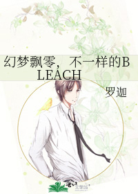 Bìa truyện Huyễn Mộng Phiêu Linh Bất Nhất Dạng Đích Bleach (幻梦飘零，不一样的BLEACH)