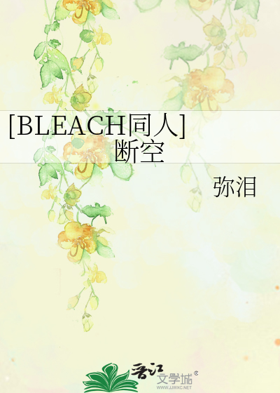 Bìa truyện Bleach Đồng Nhân Đoạn Không ([BLEACH同人]断空)