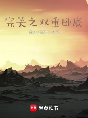 Bìa truyện Hoàn Mĩ Chi Song Trọng Ngọa Để (完美之双重卧底)