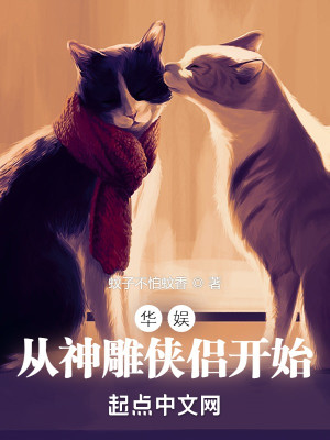 Bìa truyện Hoa Ngu Tòng Thần Điêu Hiệp Lữ Khai Thủy (华娱：从神雕侠侣开始)