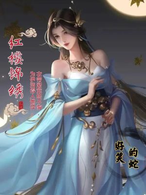 Bìa truyện Hồng Lâu Cẩm Tú (红楼锦绣)