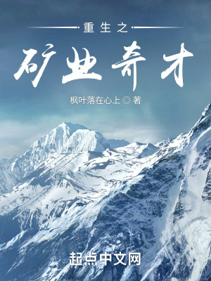 Bìa truyện Trọng Sinh Chi Quáng Nghiệp Kì Tài (重生之矿业奇才)