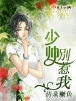 Bìa truyện Thiếu Soái Biệt Nhạ Ngã (少帅别惹我)