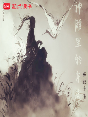 Bìa truyện Thần Điêu Lí Đích Đông Trượng (神雕里的东丈)