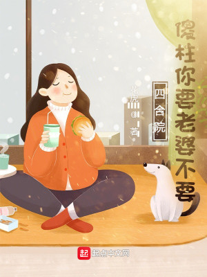 Bìa truyện Tứ Hợp Viện Sỏa Trụ Nhĩ Yếu Lão Bà Bất Yếu (四合院傻柱你要老婆不要)