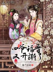 Bìa truyện Tứ Gia Phúc Tấn Hựu Khai Tê Liễu (四爷福晋又开撕了)