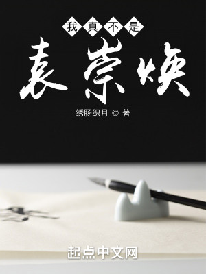 Bìa truyện Ngã Chân Bất Thị Viên Sùng Hoán (我真不是袁崇焕)
