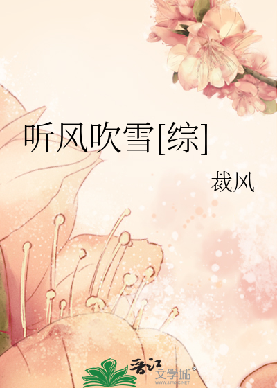 Bìa truyện Thính Phong Xuy Tuyết Tống (听风吹雪[综])