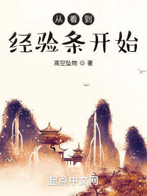 Bìa truyện Tòng Khán Đáo Kinh Nghiệm Điều Khai Thủy (从看到经验条开始)