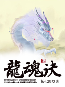 Bìa truyện Long Hồn Quyết (龙魂诀)