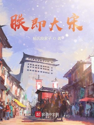 Bìa truyện Trẫm Tức Đại Tống (朕即大宋)