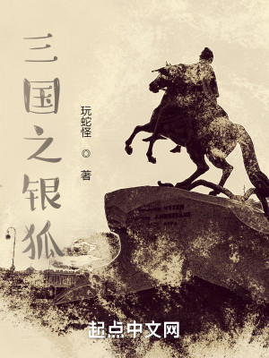 Bìa truyện Tam Quốc Chi Ngân Hồ (三国之银狐)