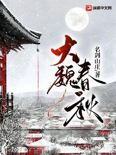 Bìa truyện Đại Ngụy Xuân Thu (大魏春秋)