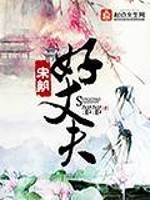 Bìa truyện Tống Triêu Hảo Trượng Phu (宋朝好丈夫)