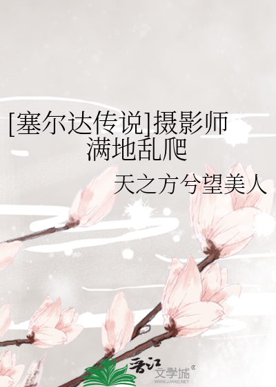 Bìa truyện Tắc Nhĩ Đạt Truyện Thuyết Nhiếp Ảnh Sư Mãn Địa Loạn Ba ([塞尔达传说]摄影师满地乱爬)