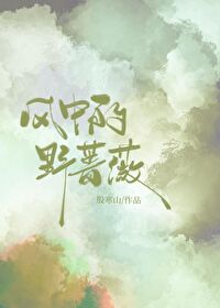 Bìa truyện Phong Trung Đích Dã Sắc Vi (风中的野蔷薇)
