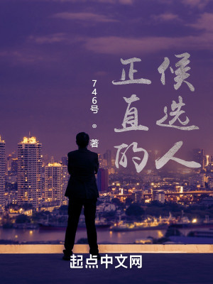 Bìa truyện Chính Trực Đích Hậu Tuyển Nhân (正直的候选人)