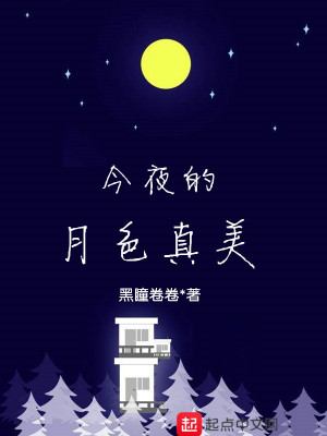 Bìa truyện Kim Dạ Đích Nguyệt Sắc Chân Mĩ (今夜的月色真美)