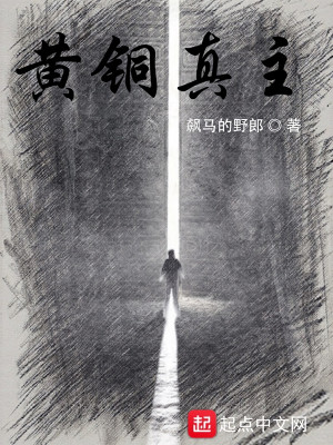 Bìa truyện Hoàng Đồng Chân Chủ (黄铜真主)