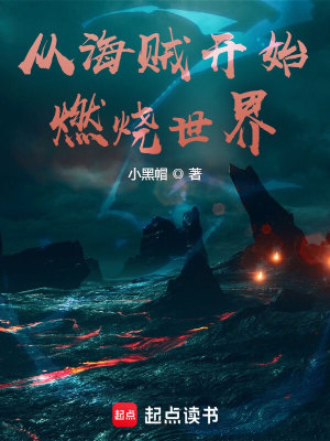 Bìa truyện Tòng Hải Tặc Khai Thủy Nhiên Thiêu Thế Giới (从海贼开始燃烧世界)