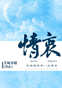 Bìa truyện Tình Trung (情衷)