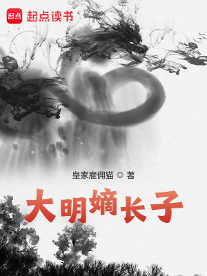 Bìa truyện Đại Minh Đích Trường Tử (大明嫡长子)