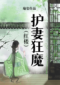 Bìa truyện Hồng Lâu Hộ Thê Cuồng Ma (红楼护妻狂魔)