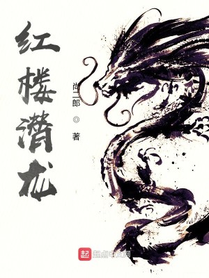 Bìa truyện Hồng Lâu Tiềm Long (红楼潜龙)