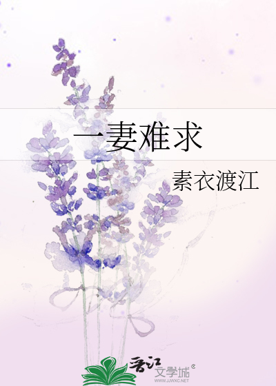 Bìa truyện Nhất Thê Nan Cầu (一妻难求)
