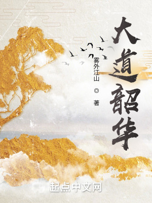 Bìa truyện Đại Đạo Thiều Hoa (大道韶华)