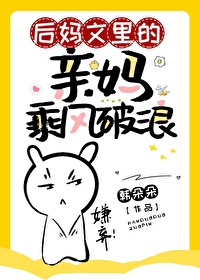 Bìa truyện Hậu Mụ Văn Lí Đích Thân Mụ Thừa Phong Phá Lãng (后妈文里的亲妈乘风破浪)