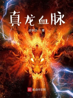 Bìa truyện Chân Long Huyết Mạch (真龙血脉)