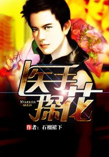 Bìa truyện Y Thủ Thám Hoa (医手探花)