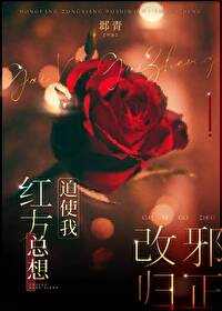 Bìa truyện Hồng Phương Tổng Tưởng Bách Sử Ngã Cải Tà Quy Chính (红方总想迫使我改邪归正)