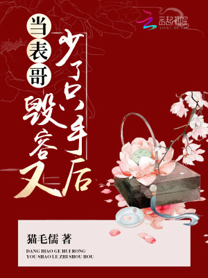 Bìa truyện Đương Biểu Ca Hủy Dung Hựu Thiếu Liễu Chích Thủ Hậu (当表哥毁容又少了只手后)