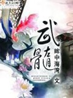 Bìa truyện Vũ Tủy (武髓)