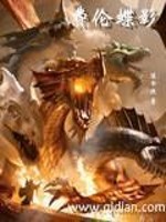 Bìa truyện Phí Luân Điệp Ảnh (费伦蝶影)