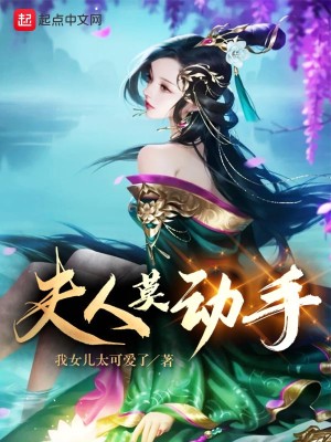 Bìa truyện Phu Nhân Mạc Động Thủ (夫人莫动手)