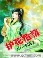 Bìa truyện Bích Ngọc Phượng Hoàng (碧玉凤凰)
