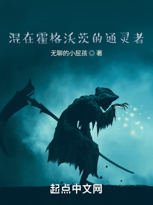 Bìa truyện Hỗn Tại Hoắc Cách Ốc Tì Đích Thông Linh Giả (混在霍格沃茨的通灵者)