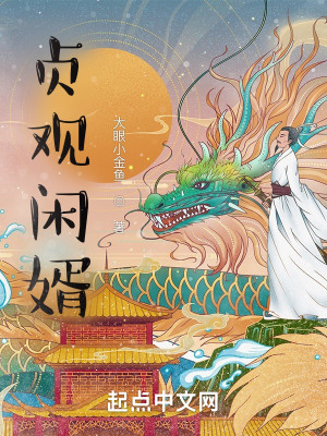 Bìa truyện Trinh Quan Nhàn Tế (贞观闲婿)