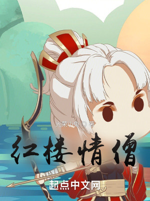 Bìa truyện Hồng Lâu Tình Tăng (红楼情僧)