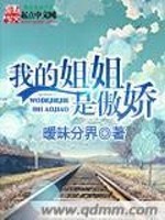Bìa truyện Ngã Đích Tỷ Tỷ Thị Ngạo Kiều (我的姐姐是傲娇)