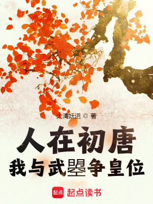 Bìa truyện Nhân Tại Sơ Đường Ngã Dữ Vũ Chiếu Tranh Hoàng Vị (人在初唐：我与武曌争皇位)