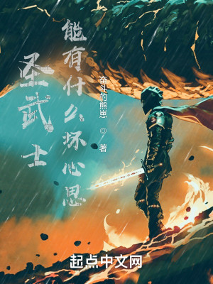 Bìa truyện Thánh Vũ Sĩ Năng Hữu Thập Yêu Phôi Tâm Tư (圣武士能有什么坏心思)