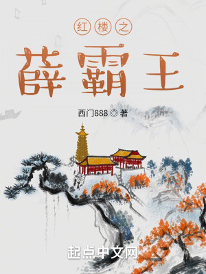 Bìa truyện Hồng Lâu Chi Tiết Bá Vương (红楼之薛霸王)