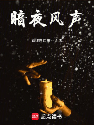 Bìa truyện Ám Dạ Phong Thanh (暗夜风声)