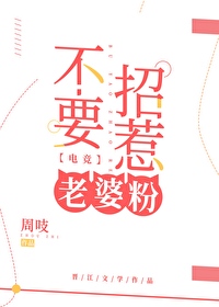 Bìa truyện Bất Yếu Chiêu Nhạ Lão Bà Phấn Điện Cạnh (不要招惹老婆粉[电竞])