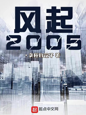 Bìa truyện Phong Khởi 2005 (风起2005)